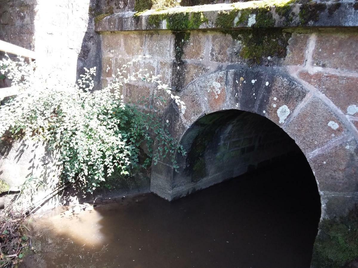 Willa L'Orchidee Lassay-les-Chateaux Zewnętrze zdjęcie