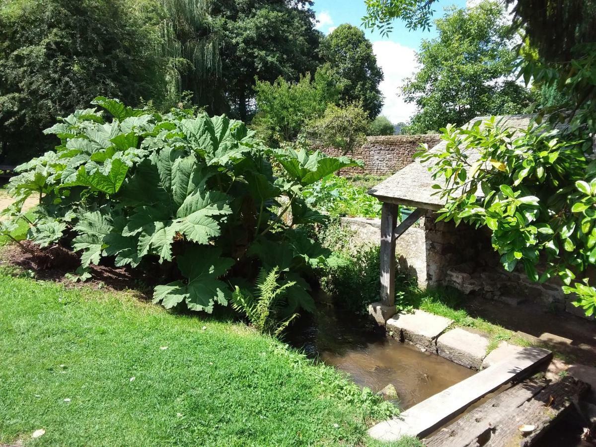 Willa L'Orchidee Lassay-les-Chateaux Zewnętrze zdjęcie